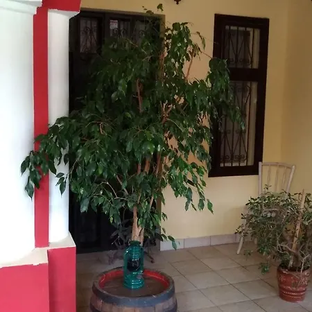 Hangonyi Pizzeria Es Vendeghaza Hangony