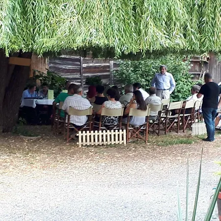 Hangonyi Pizzeria Es Vendeghaza