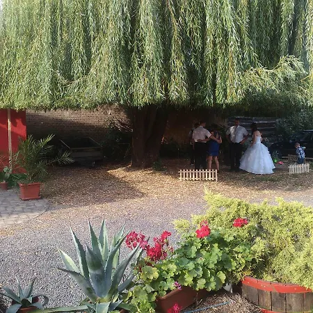 Hangonyi Pizzeria Es Vendeghaza Guest house Hangony