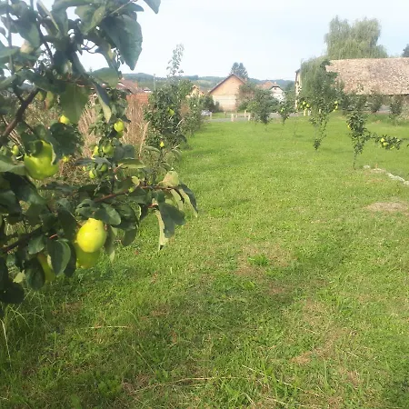 Hangonyi Pizzeria Es Vendeghaza Guest house