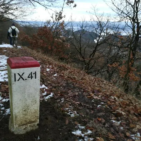 Vendégház Hangonyi Pizzeria Es Vendeghaza *